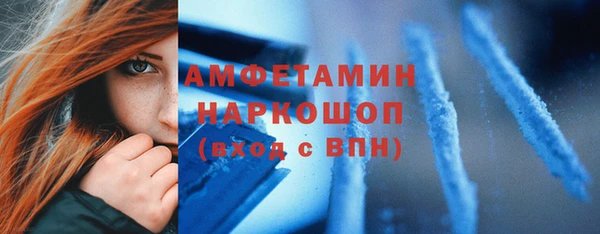 индика Алексин