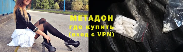 индика Алексин