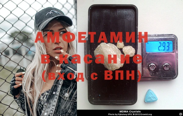 индика Сатка