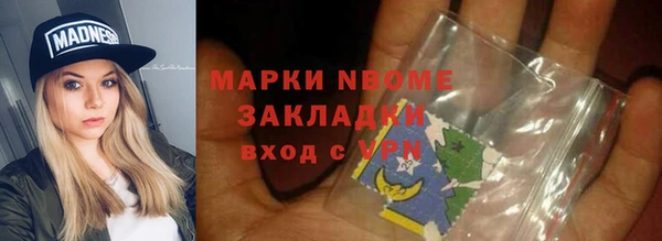 прущие грибы Алзамай