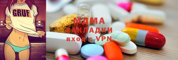 индика Алексин