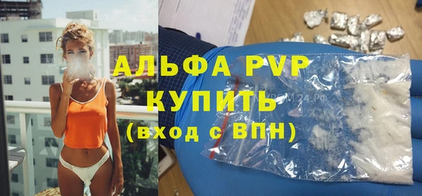 индика Алексин