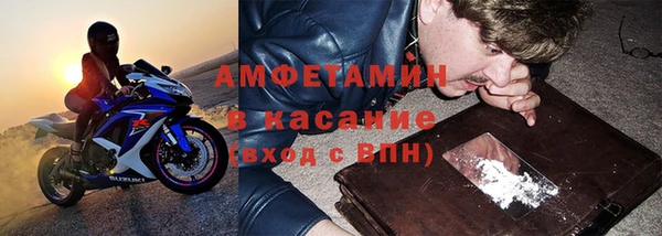 индика Алексин