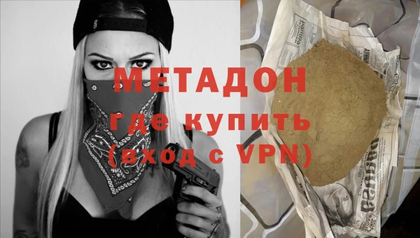 индика Алексин