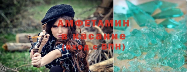 индика Алексин