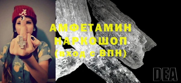 индика Алексин
