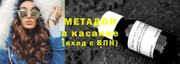 индика Алексин