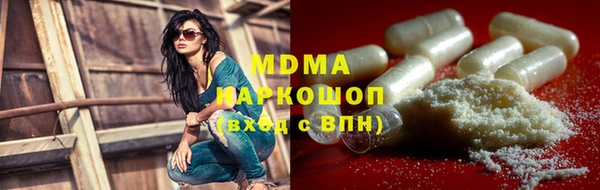 индика Алексин