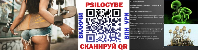 Галлюциногенные грибы Psilocybe  Большой Камень 