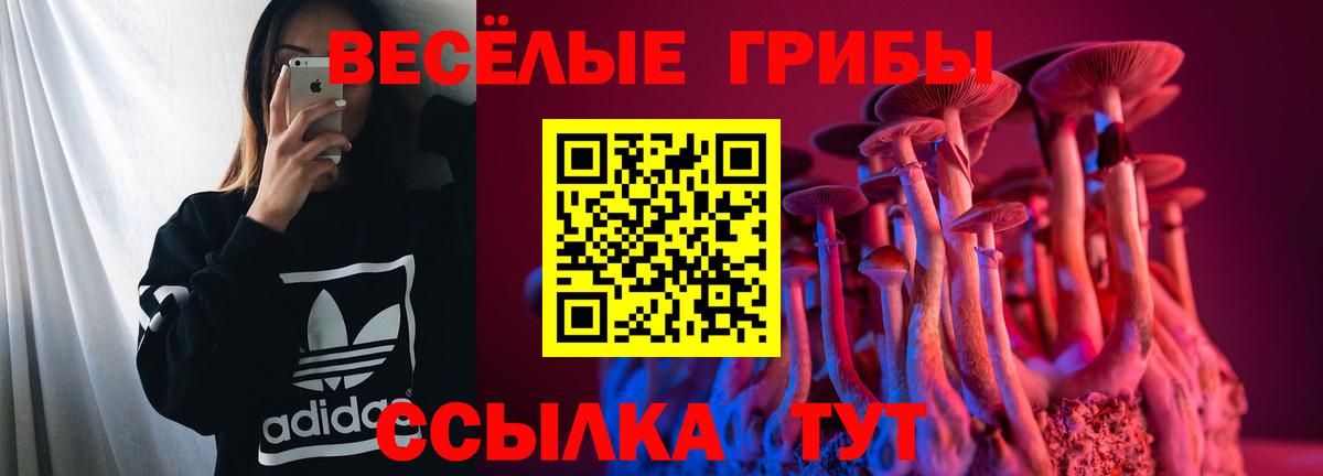 Галлюциногенные грибы мицелий Большой Камень